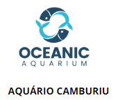 Aquário Balneário Camboriú - Oceanic